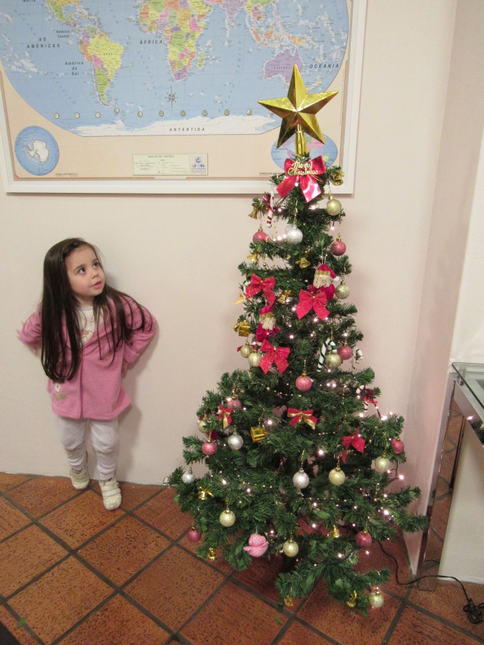 nossa árvore de Natal