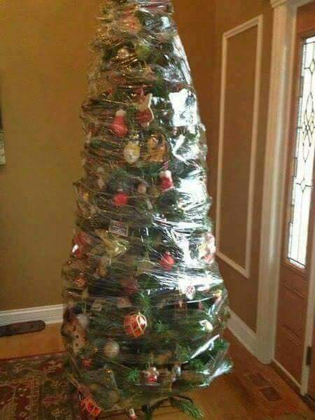 opções de árvores de Natal seguras